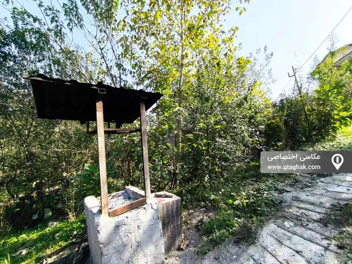 تصویر 21 - کلبه جنگلی ماهان در  شیرگاه