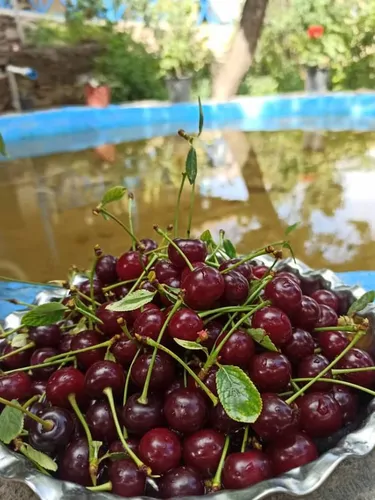 تصویر 10 - اقامتگاه بوم‌گردی باران در  آزادشهر