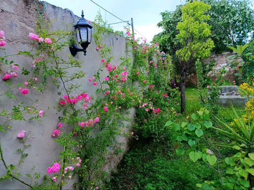 تصویر 5 - ویلا ویلای تک خواب توروس در ماسال
