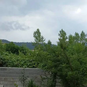 تصویر 3 - ویلا شنتیا در چالوس