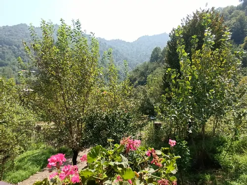 تصویر 14 - کلبه فردوسی  در  ماسال