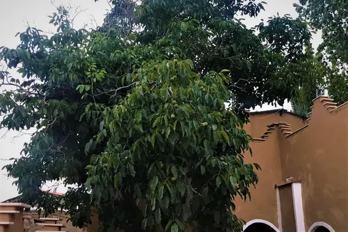 تصویر 13 - اقامتگاه بوم‌گردی سرای معلم کوه کرکس(واحد2) با صبحانه رایگان در  نطنز