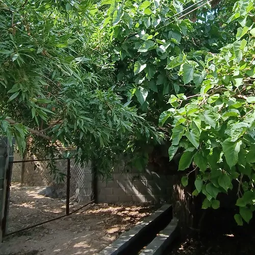 تصویر 5 - اقامتگاه بوم‌گردی باغملک در  یزد
