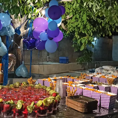 تصویر 2 - ویلا نیلوفر در شیراز