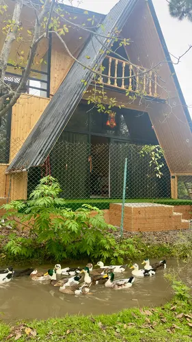 تصویر 2 - کلبه کلبه سویسی دوبلکس در ماسال