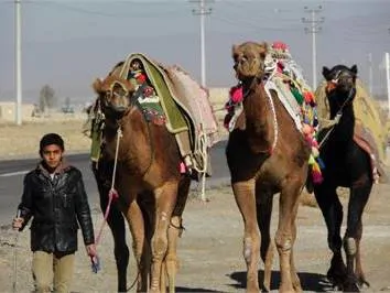 تصویر 7 - خانه مبله ویلایی یاقوت در  ورزنه