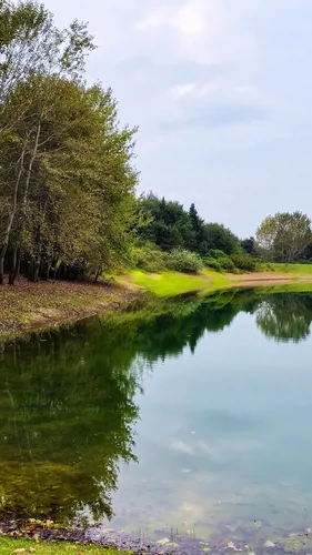 تصویر 16 - کلبه جنگلی مآسو (واحد میجان) در  نور