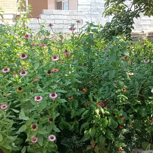 تصویر 2 - ویلا ویلا ساحل فرح اباد در فرح آباد