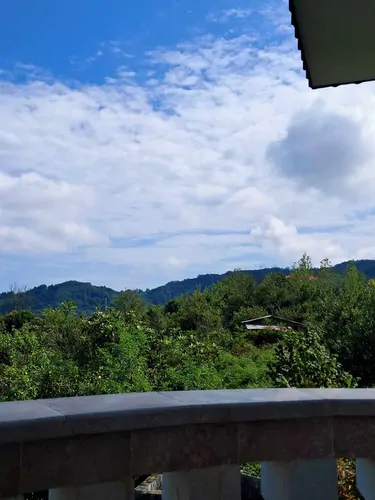 تصویر 18 - ویلا ناترینا در رامسر