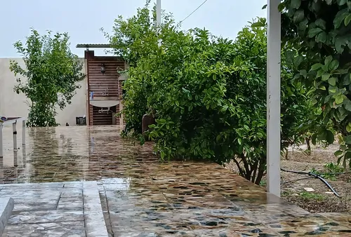 تصویر 4 - ویلا اقامت گاه لاکچری کاکتوس در اهواز
