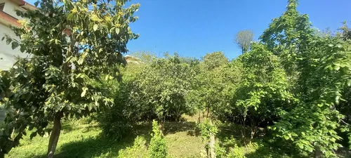تصویر 2 - ویلا ویلا باغ روح انگیز در دوهزارشهسوار