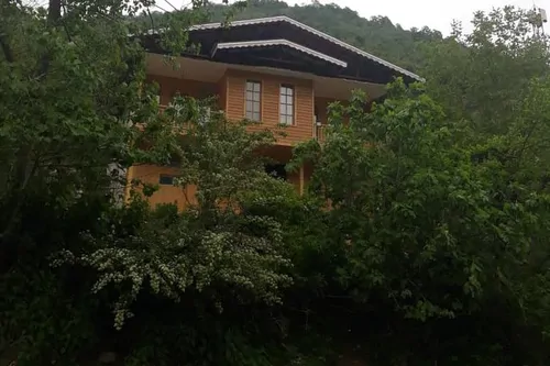 تصویر ۱ - کلبه جنگلی دنج در  ماسال