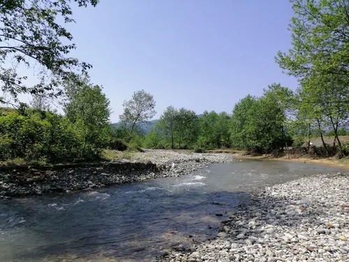 تصویر 21 - کلبه سوئیسی سردار جنگل در  ماسال