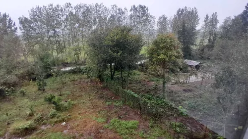 تصویر 14 - ویلا آرش  در  سیاهکل