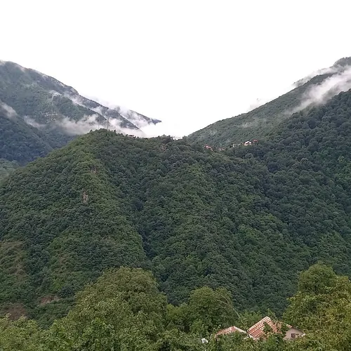 تصویر 18 - ویلا باغ سرای امیران دوهزار در  دوهزارشهسوار