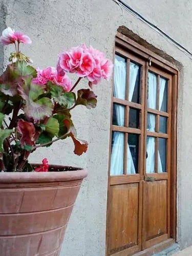 تصویر 2 - اقامتگاه بوم‌گردی چنارستان (اتاق شمعدانی) در نیشابور