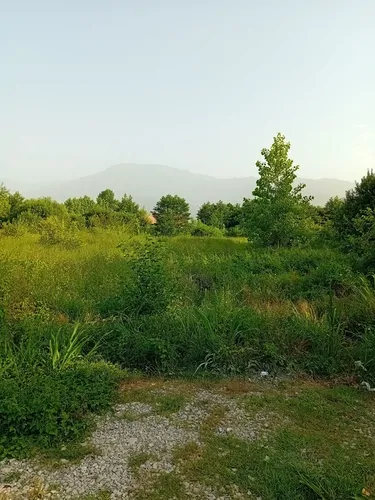 تصویر 10 - سوییت دلنشین سرسبز در  متل قو