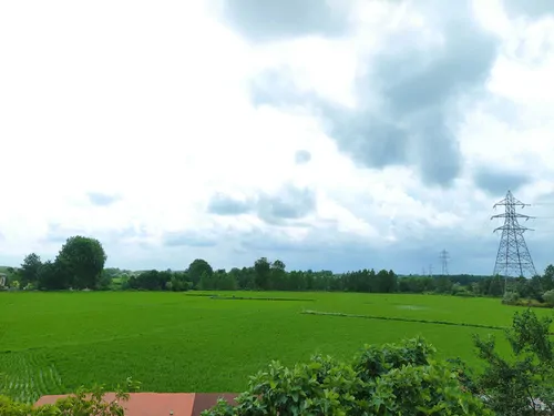 تصویر ۱ - ویلا  شالیزار در  فومن