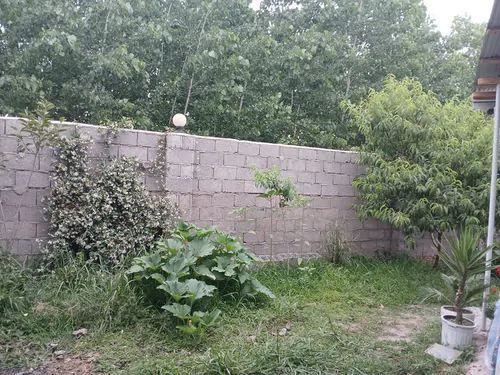 تصویر 22 - ویلا باغ پدر در  ماسال