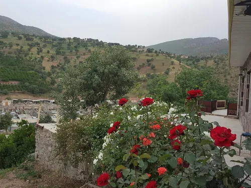 تصویر 3 - ویلا باغ پالنگان در کامیاران