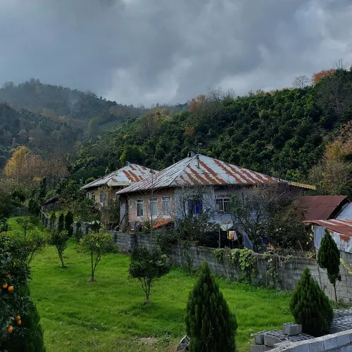 تصویر 21 - روستایی و عشایری چوبی دوبلکس جنگلی در  کلاچای