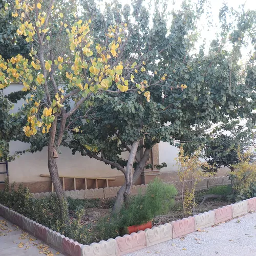 تصویر 19 - ویلا  باغچه در  ملارد 