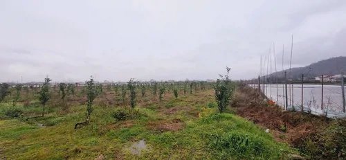 تصویر 25 - ویلا شاهنشین در فومن