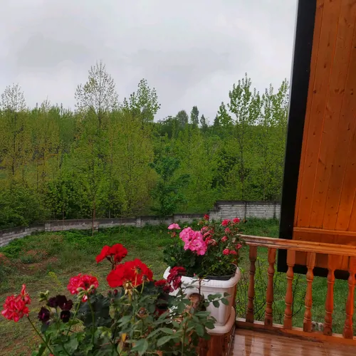 تصویر 25 - کلبه سوئیسی مهر با جکوزی در سوادکوه