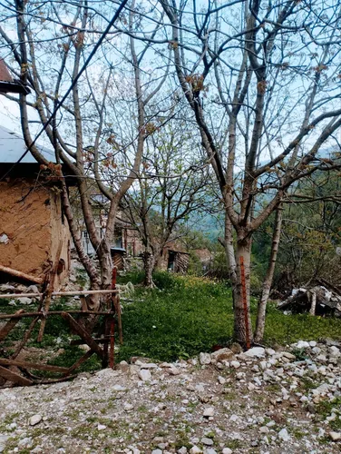 تصویر 4 - ویلا رودخانه دار آبشار دار جنگل دار در تالش