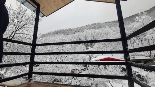 تصویر 14 - کلبه سوئیسی راحیل در شهسوار