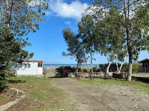 ستاره خزر ساحلی (1)