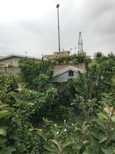 تصویر 4 - ویلا باغچه سبز در بهشهر