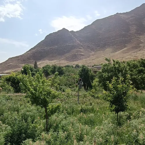 تصویر 3 - اقامتگاه بوم‌گردی باغملک در یزد