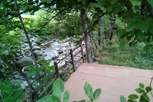 تصویر 2 - ویلا دربست جنگل اسالم در اسالم