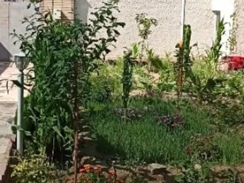 تصویر 4 - ویلا خانه باغ کویری در اصفهان