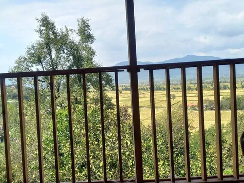تصویر 2 - کلبه کلبه جنگلی بهادر در رودبار