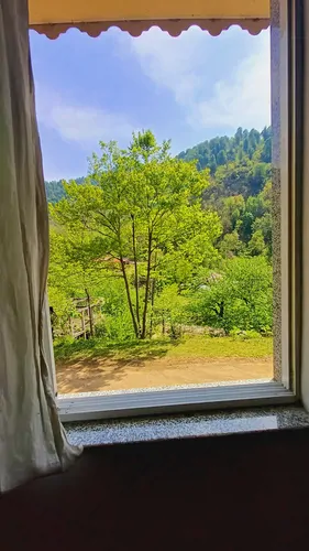 تصویر 29 - ویلا نجار آغوش جنگل و رود در  شفت