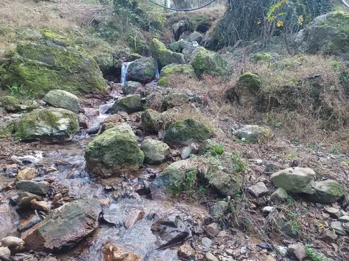 تصویر 3 - ویلا ویلای جنگلی آریا  در فومن