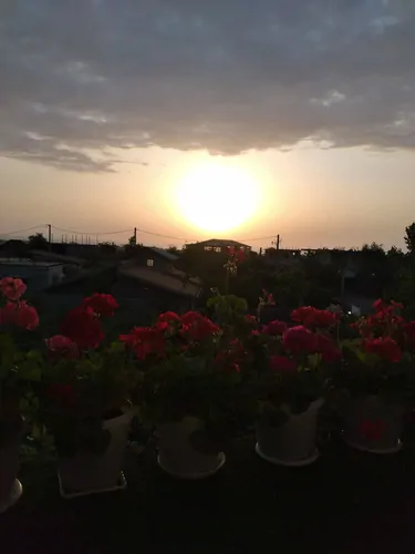 تصویر 14 - ویلا خونه صورتی در  آستارا