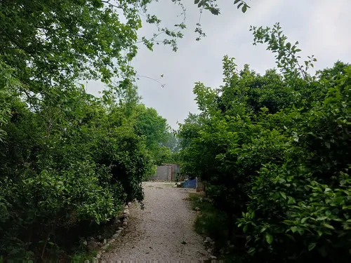 تصویر 2 - اقامتگاه بوم‌گردی خونه مادربزرگه  در قائمشهر