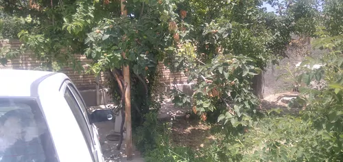 تصویر 3 - ویلا منزل ویلایی روستای دشت در بجنورد
