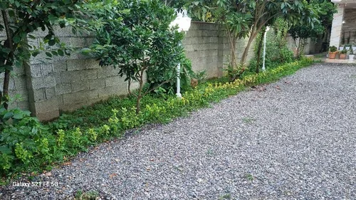 تصویر 16 - خانه جنگلی یادگار پدر (۲) در  فومن
