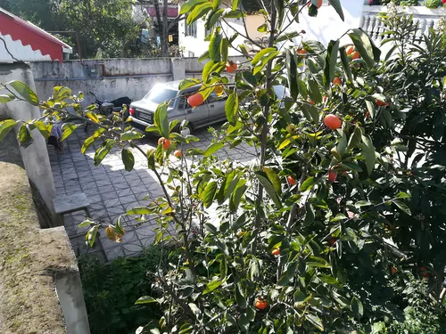 تصویر 2 - ویلا مرکز شهر ستارخان در آستارا