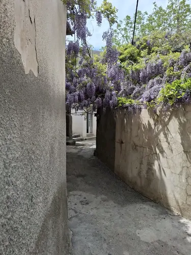 تصویر 14 - خانه کوهستانی دلنواز در  آبعلی