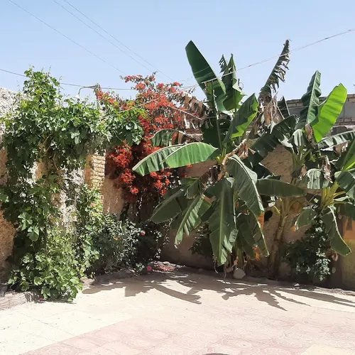 تصویر 8 - ویلا باغ گلشن در  دزفول