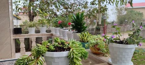 تصویر 14 - ویلا باغ زندگی در  اسالم