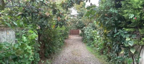 تصویر 20 - ویلا بهارسیسنگان (2) در رویان