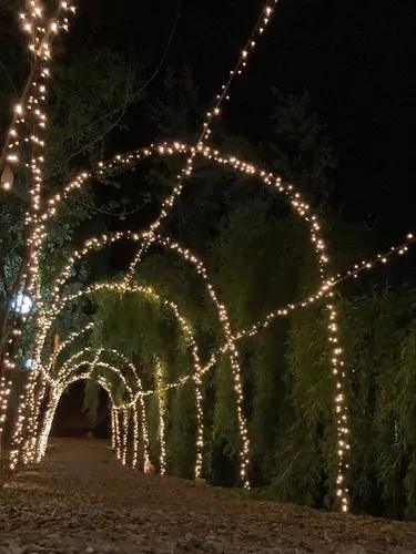 تصویر 17 - ویلا جنگلی سوار بر آب در  رشت
