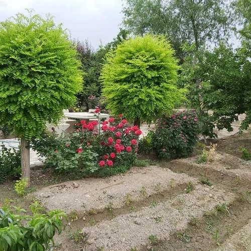 تصویر 5 - ویلا باغ اشکاوند نزدیک به شهر در  اصفهان