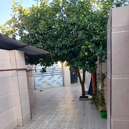 تصویر 3 - ویلا فرجاد در خشکبیجار